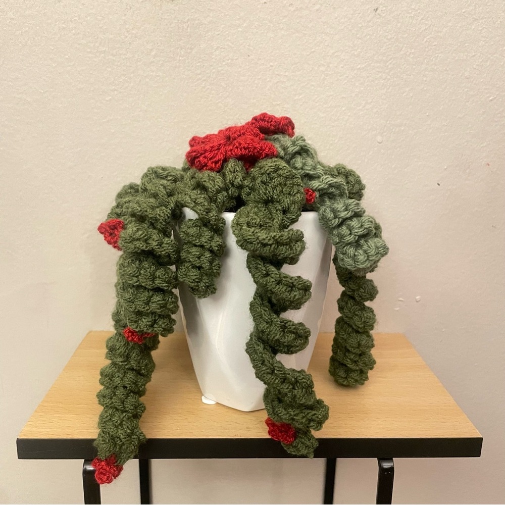 LD Yarn Creations Handmade Green & Red Crocheted Plant Décor – Approx 6” Tall - Picture 4 of 13